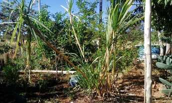 Imagem 6: Terreno 60 hectares com excelente preço e aceita troca de casa Sete Lagoas
