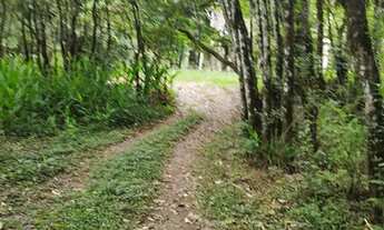 Imagem 4: Vendo chácara Campo Magro 20.000m2