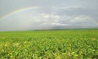 Imagem 3: Vende-se um espetáculo de fazenda de 501 Alqueires