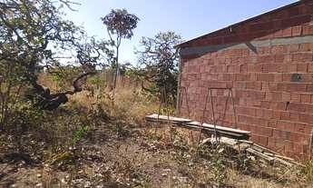 Imagem 4: Alugo Chácara Formada 7.000 m2 DF 290 Ponte Alta de Cima Gama DF