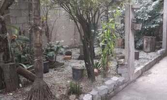 Imagem 2: Predio de 3 andares com ponto comercial, quital e garagem, na principal do birro jardim Ca