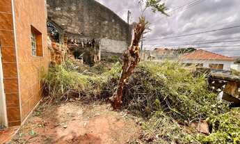 Imagem 4: São Paulo - Casa Padrão - Vila Santa Maria