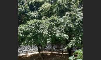 Imagem 7: Apartamento Padrão para Venda em Imbuí Salvador-BA - 337