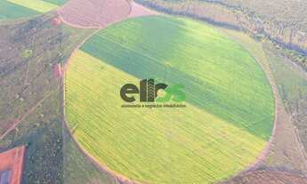 Imagem 3: Fazenda Dupla Aptidão - AGRICULTURA (LAVOURA/GRÃOS/SOJA) com PIVÔ em 230 HA, 415 hectares
