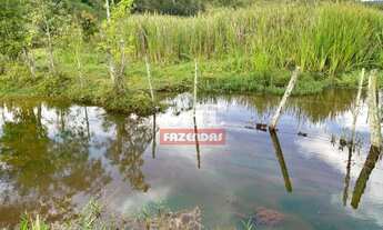 Imagem 4: Fazenda 109 alqueires ( 265 Hectares ) - São Lourenço da Serra - SP