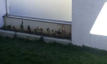 Imagem 2: Vendo apartamento com 3 quartos (1 suíte) em Ouro Verde