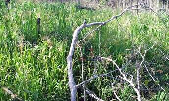 Imagem: Sítio à venda, 484000 m² por R$ 160.000