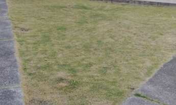 Imagem 4: 2/4 Cond. Parque das Orquídeas, Jardim das Margaridas, Salvador, 1º Andar