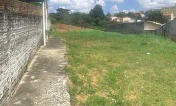 Imagem 3: Terreno medindo 12 x 37 - Pilarzinho