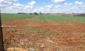 Imagem 3: Área Rural para Venda em Cambé, ÁREA RURAL