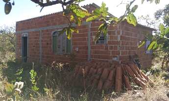 Imagem 3: Alugo Chácara Formada 7.000 m2 DF 290 Ponte Alta de Cima Gama DF