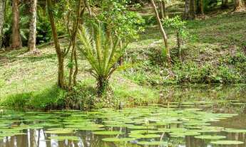 Imagem 3: Terrenos para venda em Camboriú