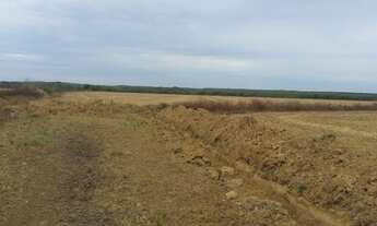 Imagem 3: 360 Alq. Dueré-TO. ( c/ Lavoura Irrigada + Sequeiro