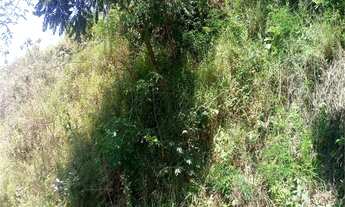 Imagem 3: Mogi das Cruzes - Terreno Padrão - Vila São Paulo