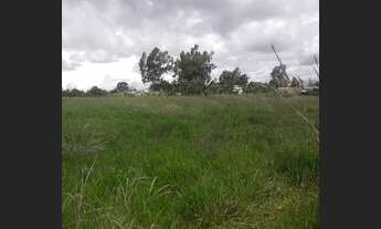 Imagem 6: Chacara São Gabriel go