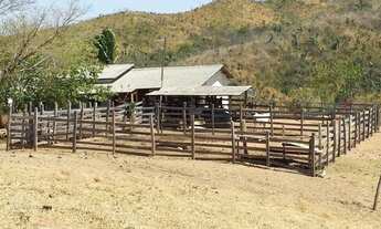 Imagem 3: Fazenda para Venda em Brazilinha Goiás