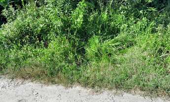 Imagem 4: Terreno jardim Califórnia lado praia!