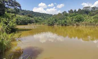 Imagem 7: Lote Tropical Contagem Top e barato pra vender rápido