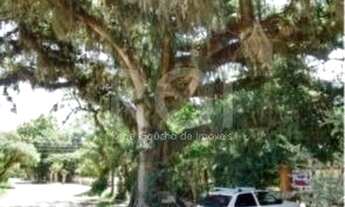 Imagem 2: Terreno para Venda - 0m², 0 dormitórios, Belém Novo