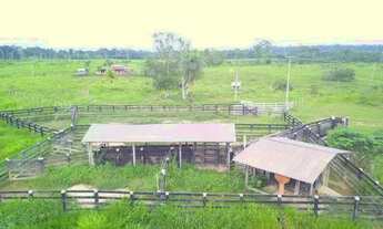 Imagem 2: Fazenda 204 hc em rorainopolis