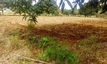 Imagem 4: Vende-se Excelente Chácara