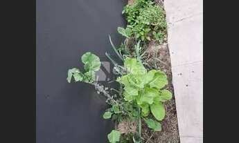 Imagem 7: Casa localizada próximo a igreja matriz de Itajaí pertinho de tudo