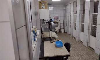 Imagem 5: São Paulo - Casa Padrão - SANTANA