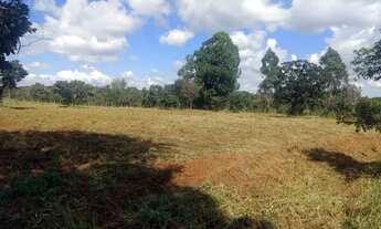 Imagem 7: Vende-se Excelente Chácara