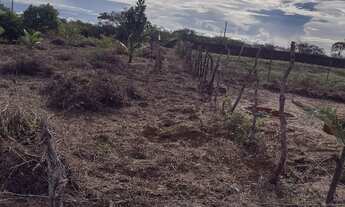 Imagem: Ótimo terreno,venha fazer o sítio