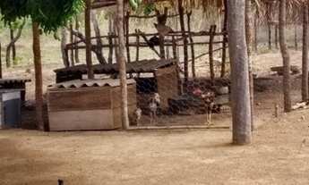 Imagem 3: Sítio em Rosário Oeste - MT