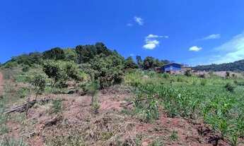 Imagem 5: Sítio na Linha São João em Canela!