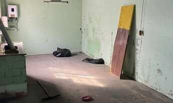 Imagem 2: Galpão/Depósito/Armazém para aluguel com 250 metros quadrados