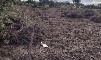 Imagem 5: Ótimo terreno,venha fazer o sítio