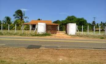 Imagem 7: Terreno de 3,6 hectares no pecém
