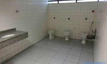 Imagem 6: GALPÃO - ACLIMAÇÃO - SP