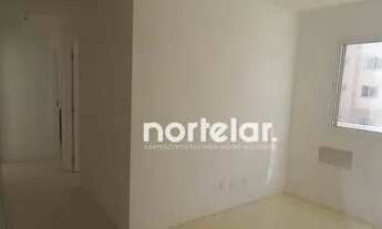 Imagem 3: Apartamento com 2 dormitórios para alugar, 41 m² por R$ 1.460,00/mês - Vila Pirituba - São