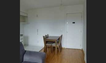 Imagem 3: Apartamento para aluguel possui 33 metros quadrados com 1 quarto em Vila Yolanda - Osasco