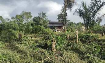 Imagem 3: Vendo terreno 10×25, com acesso a igarapé
