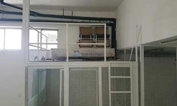 Imagem 15: Amplo Galpão Reformado