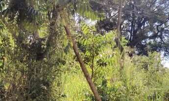 Imagem 4: Lote Terreno / lote com venda por R$120.000