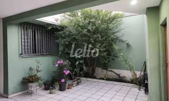 Imagem 3: São Paulo - Casa Padrão - Tatuapé