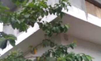 Imagem 2: SOBRADO - BROOKLIN - SP