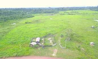 Imagem 5: Fazenda 204 hc em rorainopolis