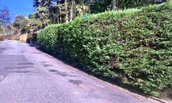 Imagem 2: Casa de condomínio sobrado para venda possui 254 metros quadrados com 4 quartos