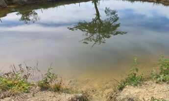 Imagem 4: Excelente chácara em Vianópolis