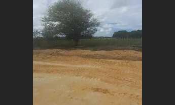 Imagem 4: Terreno cidade jardim