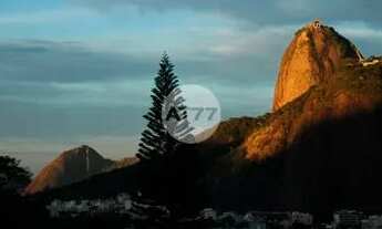 Imagem: Raridade_ Apartamento Condomínio Casa Alta