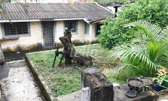 Imagem 5: São Paulo - Terreno Padrão - Tremembé