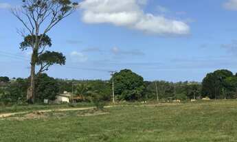 Imagem 10: Terrenos planos em Araruama 360m2 100% legalizado