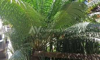 Imagem 6: Laranjeiras Casa com 3 dormitórios